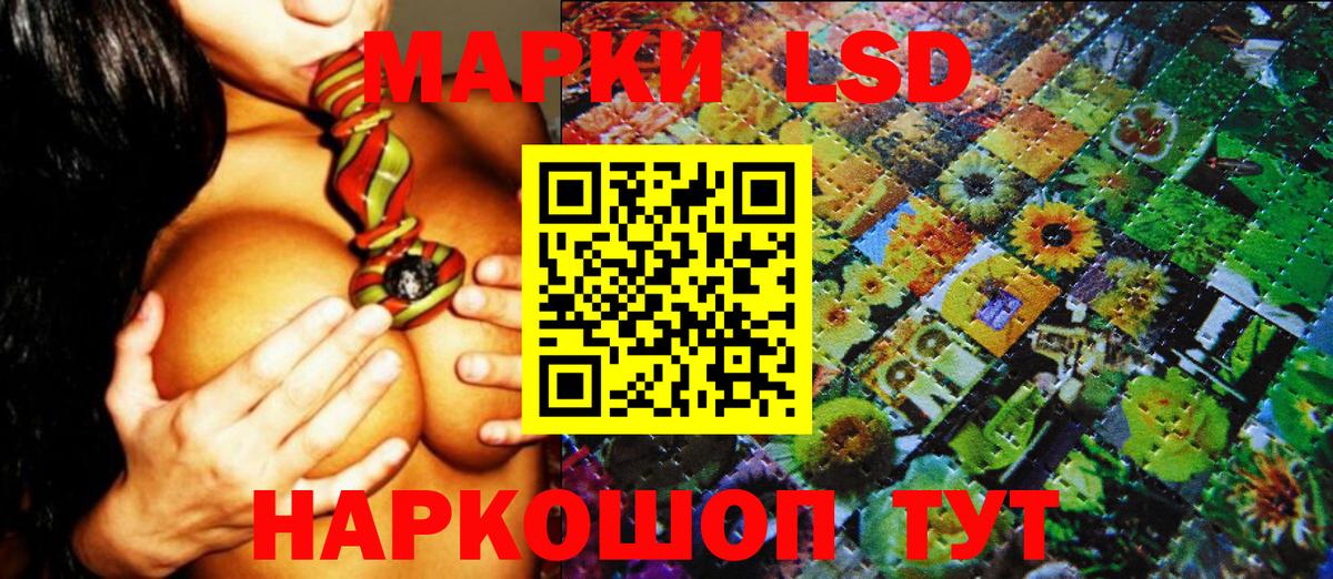 Наркотические марки 1,5мг  Наркотические марки 1,5мг  Волжск  Вход с VPN 
