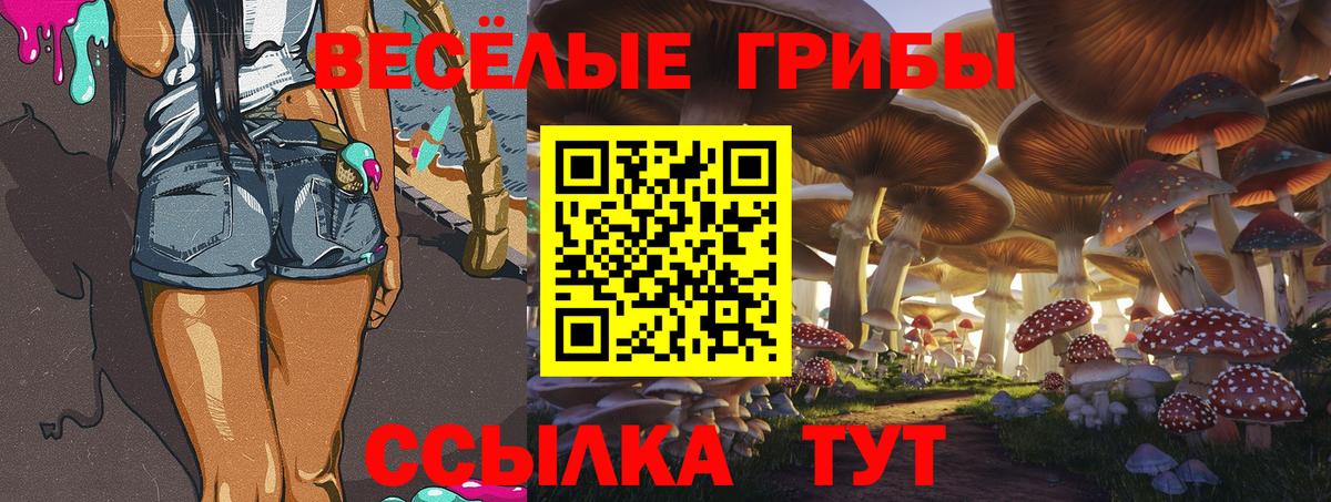 где купить наркотик  Галлюциногенные грибы GOLDEN TEACHER  Вход с VPN  Волжск 